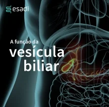 A função da vesícula biliar
