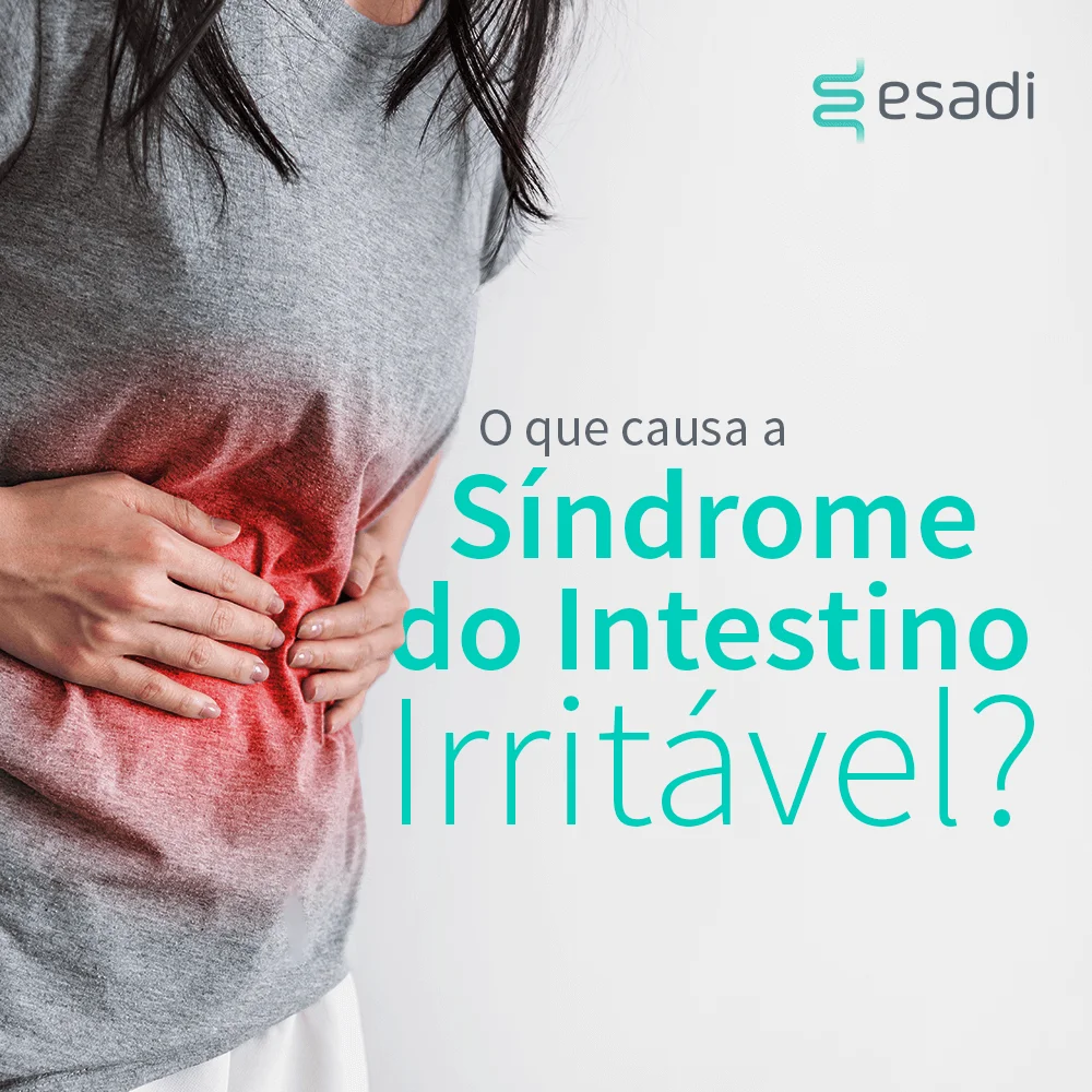 O que causa a Síndrome do Intestino Irritável (DII)?