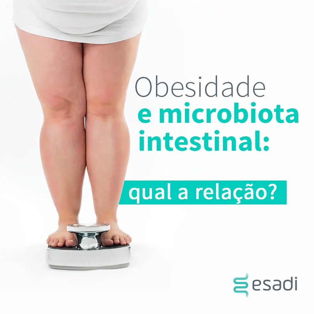 Obesidade e microbiota intestinal - qual a relação?