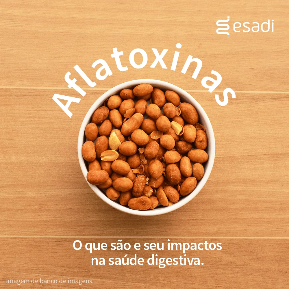 Aflatoxinas - O que são e seu impacto na saúde digestiva