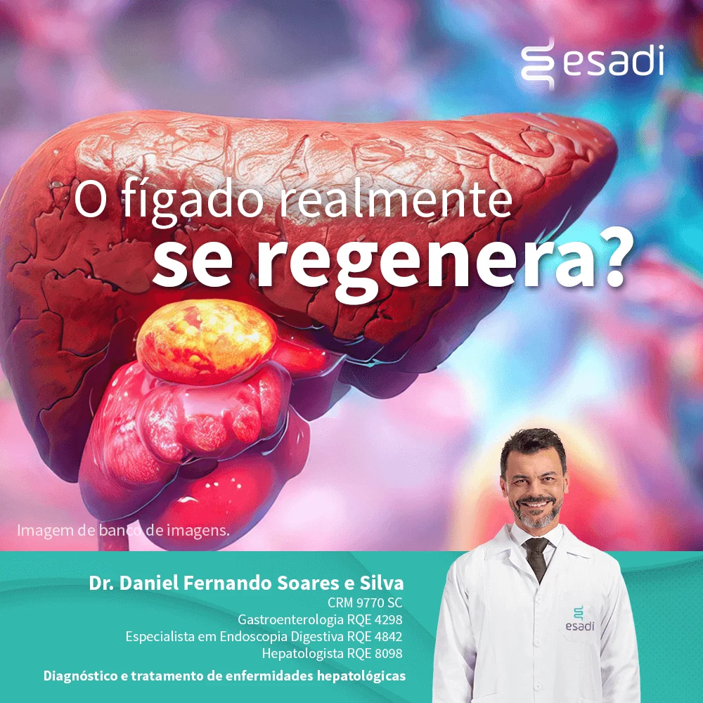O fígado se regenera? 