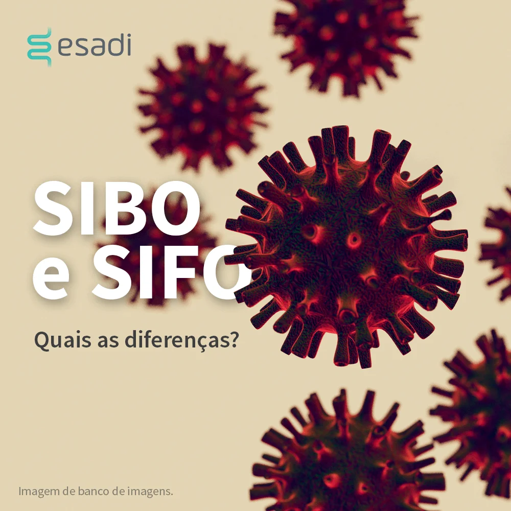 SIBO e SIFO - Qual a diferença?