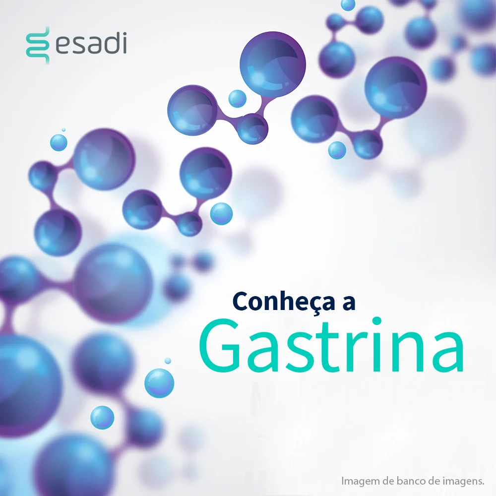 O que é gastrina? 