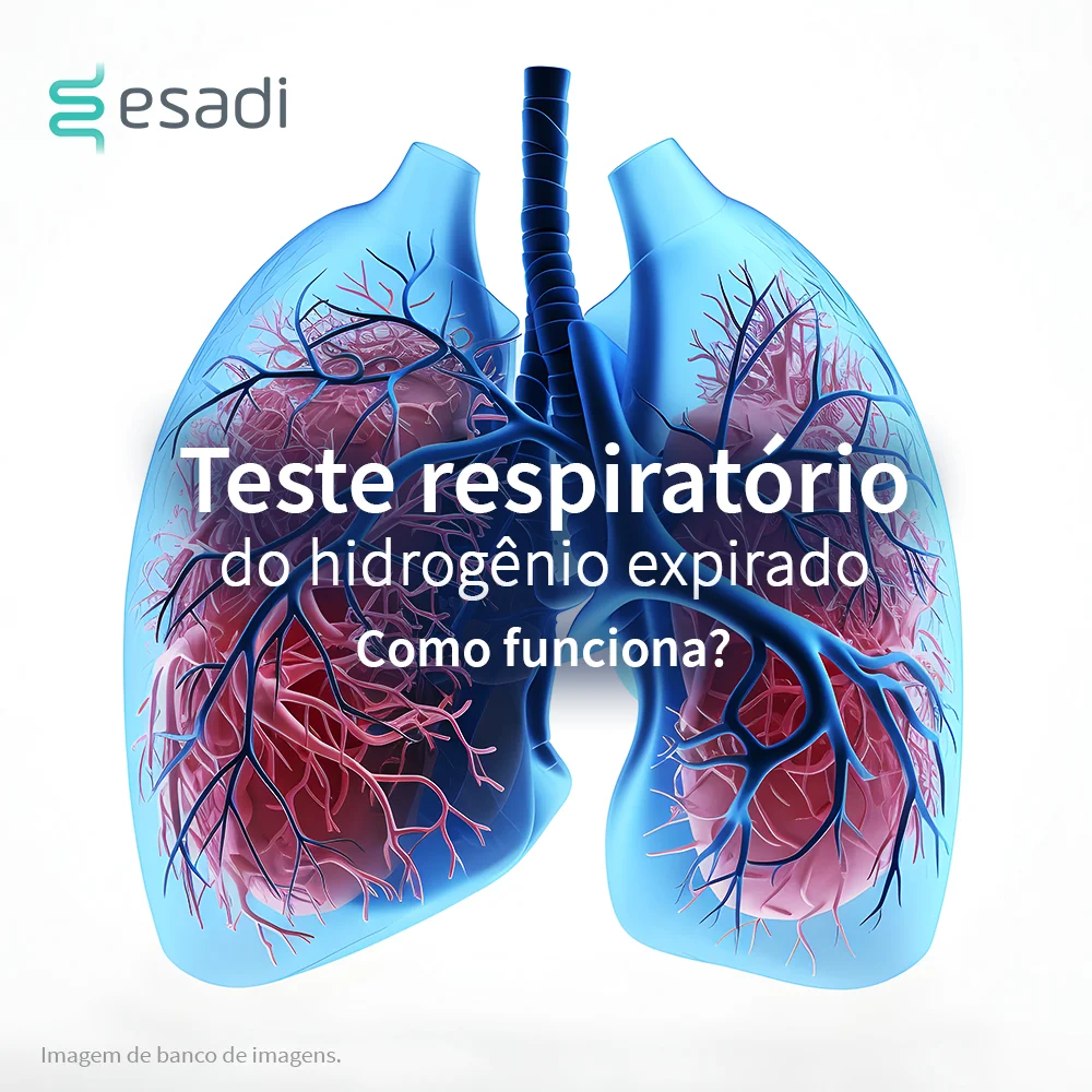 Teste respiratório do hidrogênio expirado - Como funciona? 