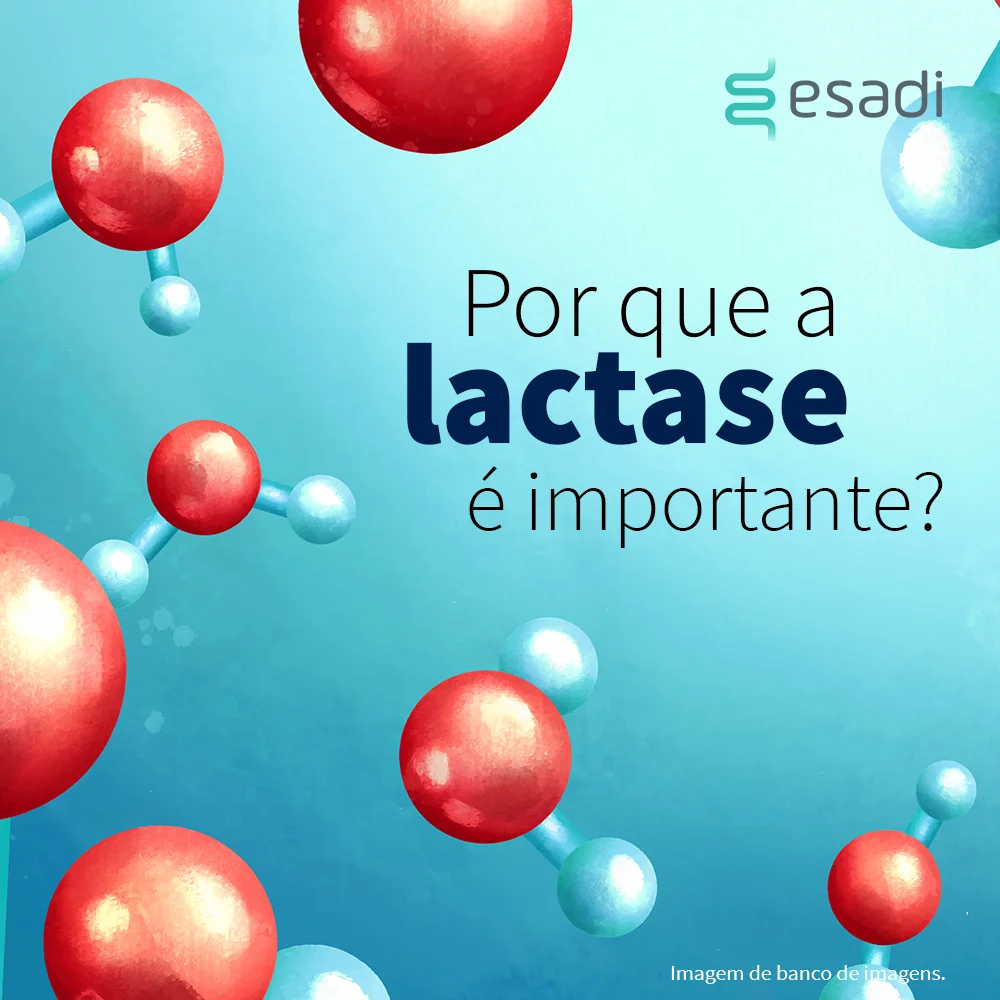 Por que a lactase é importante? 