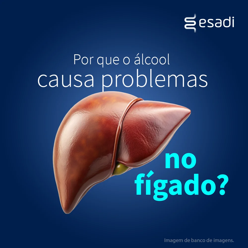 Por que o álcool causa problemas no fígado?