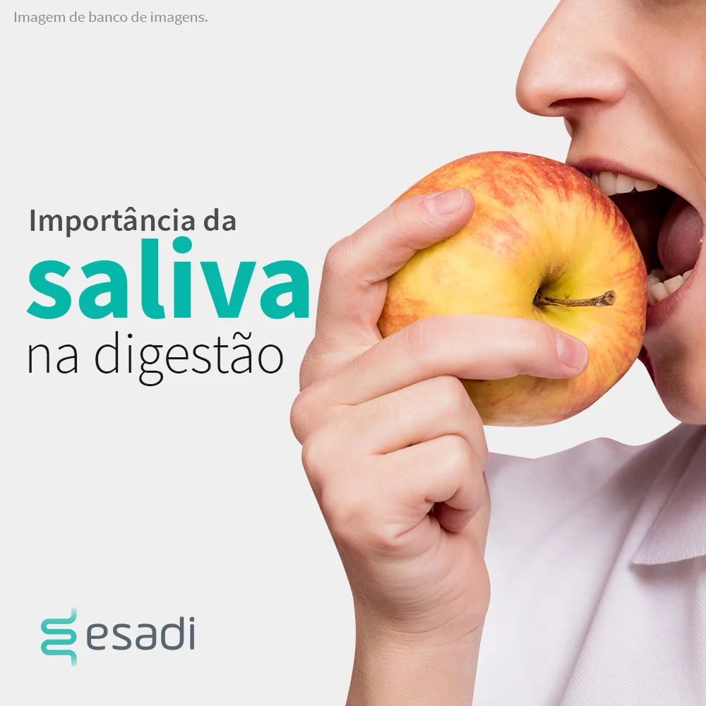 Importância da saliva na digestão