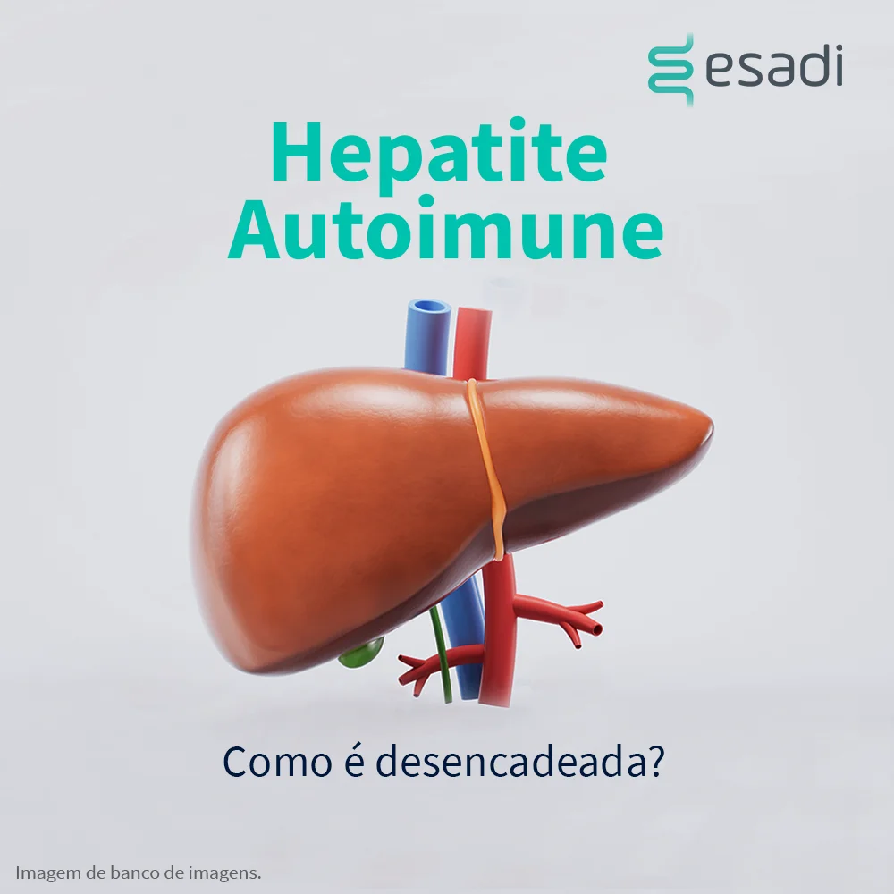 Hepatite Autoimune - Como é desencadeada? 