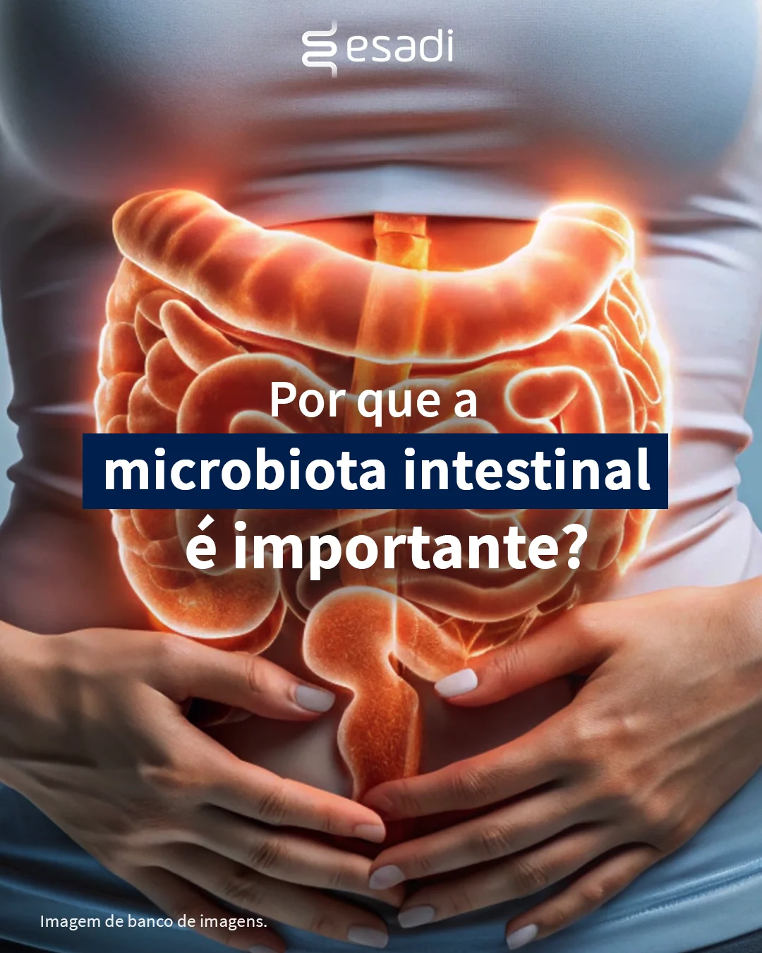 Por que a microbiota intestinal é importante? 