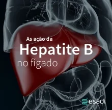 As ações da hepatite B no fígado