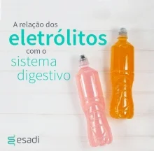 A relação dos eletrólitos com o sistema digestivo