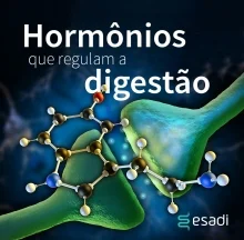 Hormônios que regulam a digestão