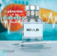 O pâncreas e a diabetes