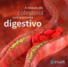 A relação do colesterol com o sistema digestivo